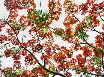 《哎呦！这么多美女呀！》Steam页面上线 年内发售